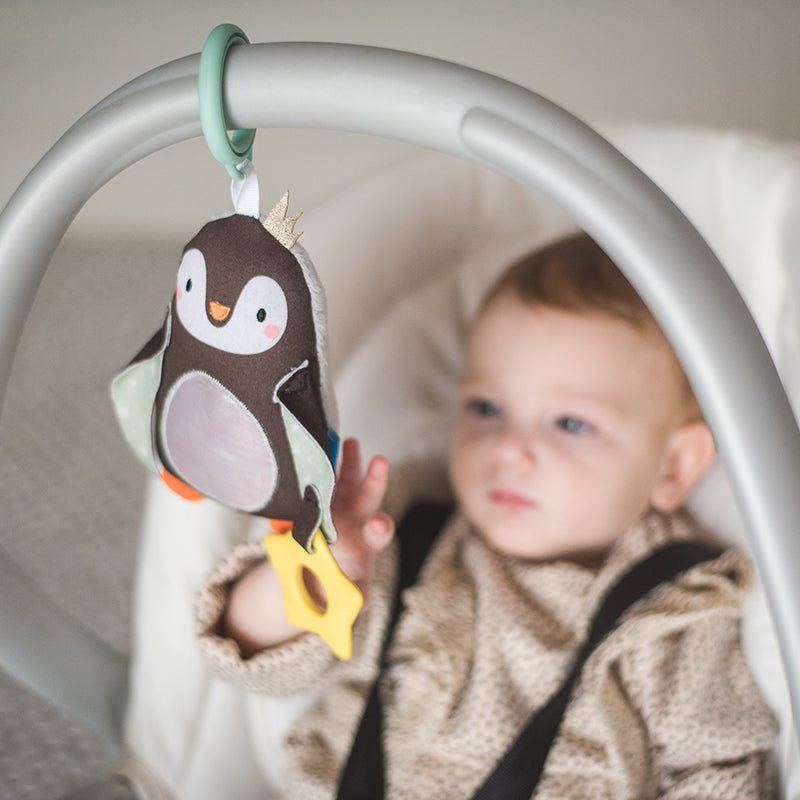 Taf toys Κουδουνίστρα- Μασητικό Prince the Penguin 0m+