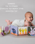 Taf toys Βιβλίο Δραστηριοτήτων Urban Garden Peek-A- Book 0m+