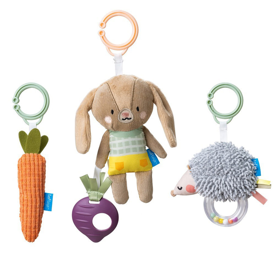 Taf Toys Activity toys kit