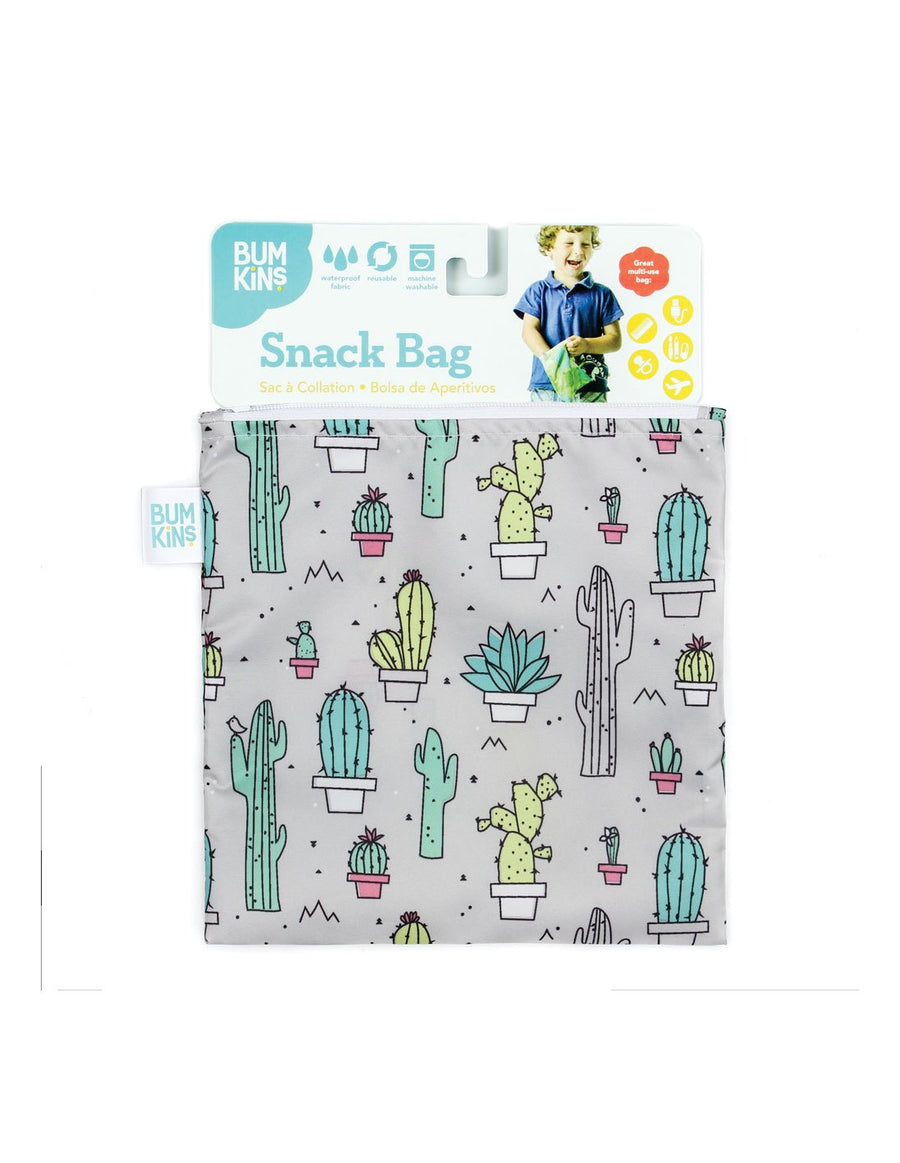 Large Snack Bag Cacti